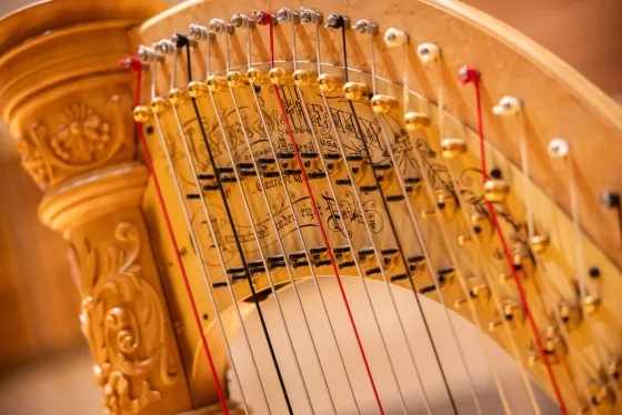 A close-up of the lower-register strings on a concert harp.