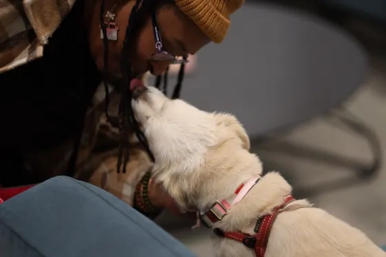 therapy dog at SFCM