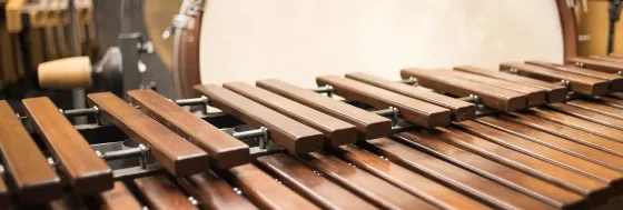 Marimba up close 